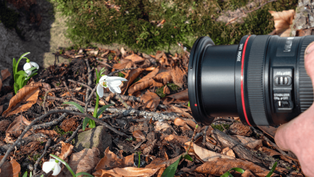 Camera with lens focused on a flower