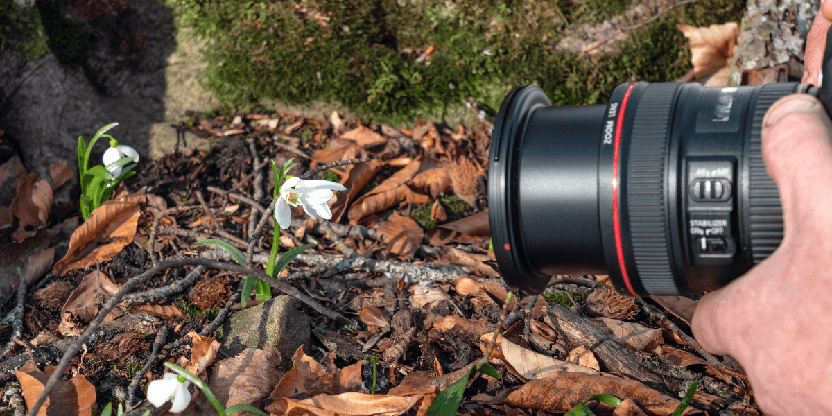 Camera with lens focused on a flower