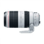 Canon EF 100-400mm F/4.5-5.6L IS USM Lens