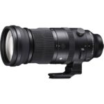 Sigma 150-600mm F5-6.3 DG DN OS