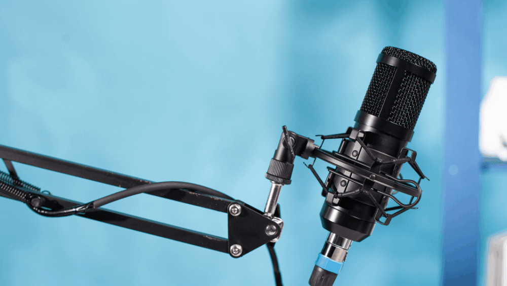 External Microphone