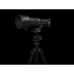 sigma_186965_500mm6